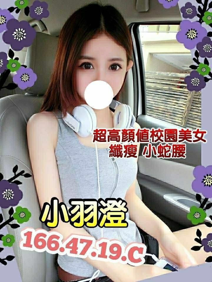 復興區定點茶/外送茶 藍天 170/51/22/36E